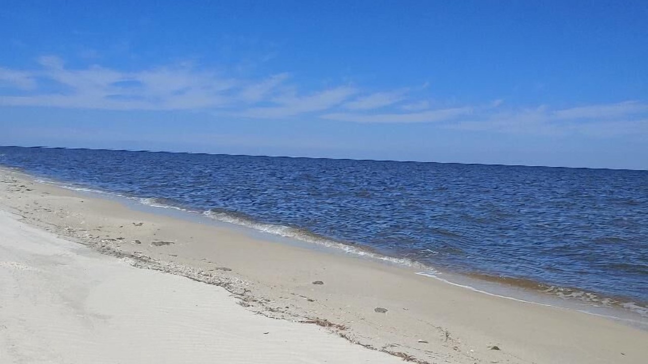Photo of Others in Alligator Point