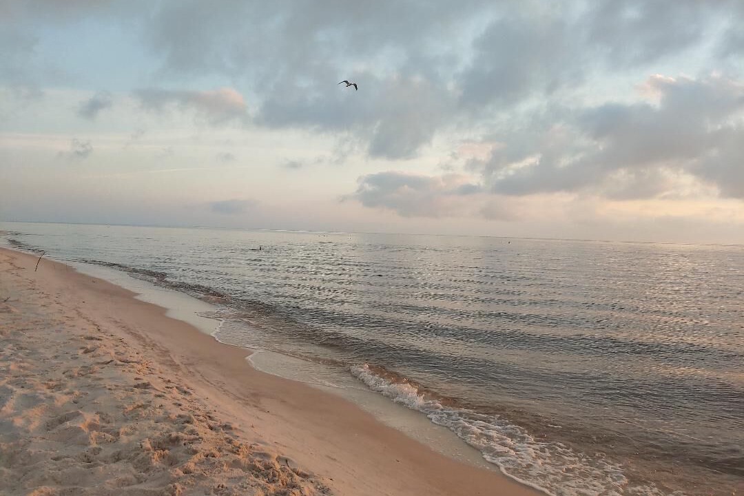 Photo of Others in Alligator Point