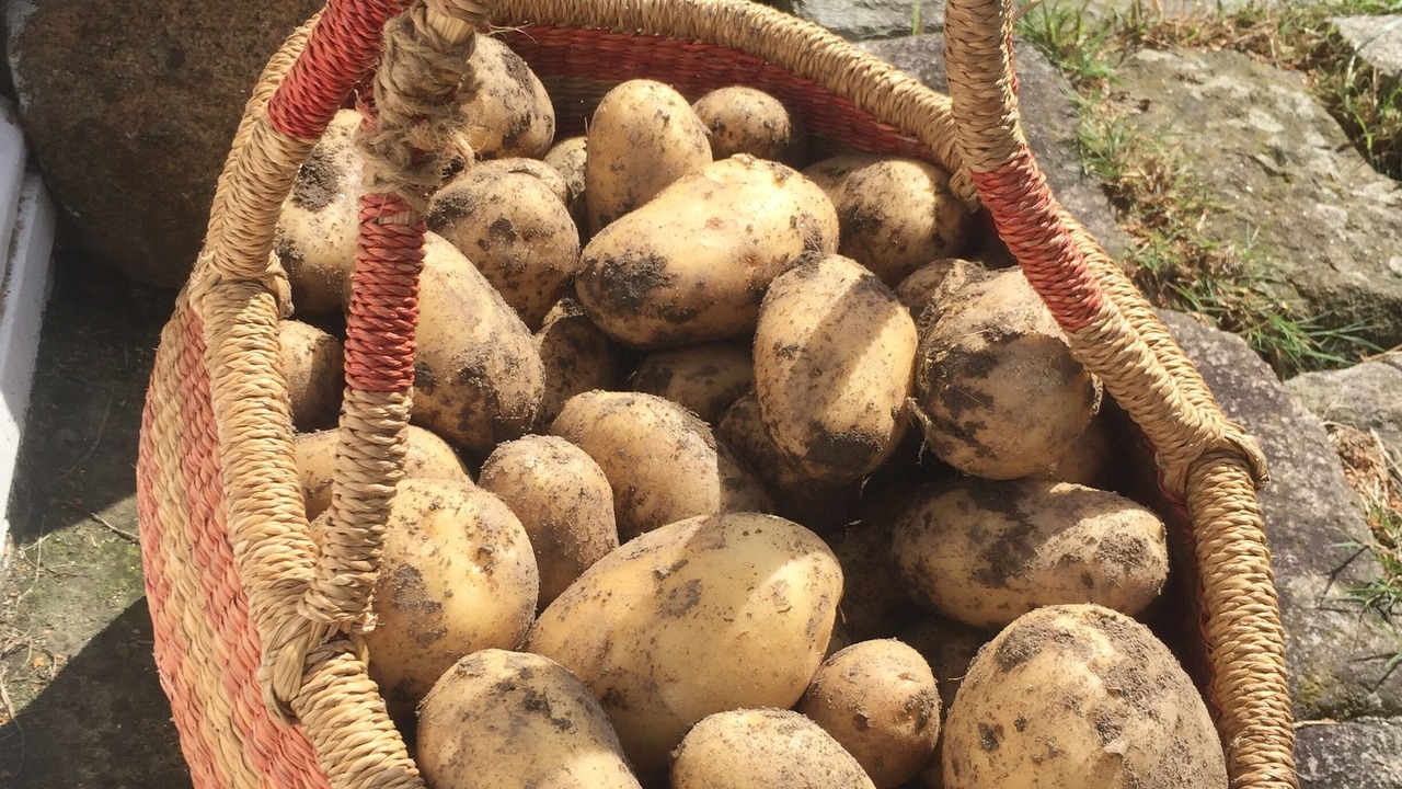 Photo of Others in Pluduno