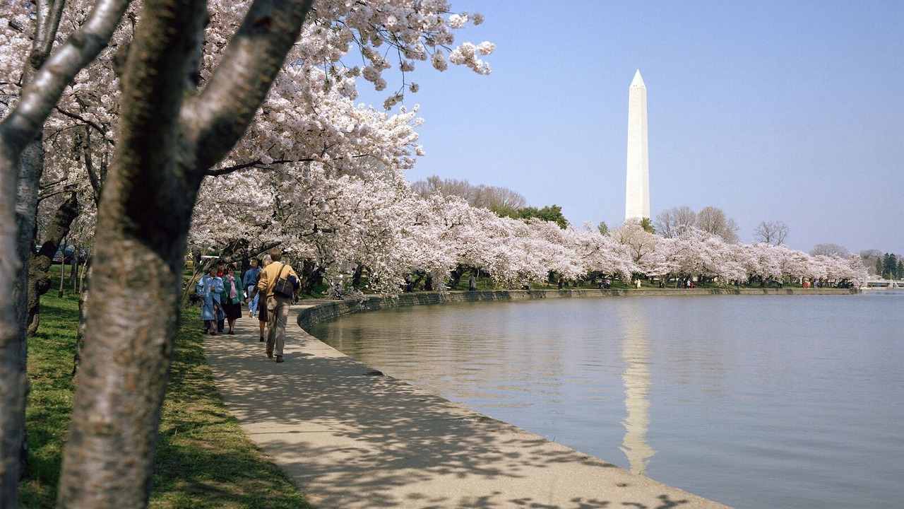 Photo of Outdoor in Logan Circle