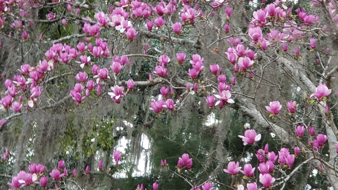 Photo of Outdoor in Monticello