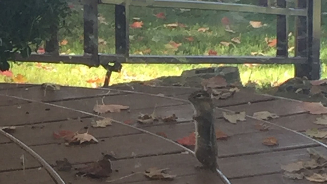 Photo of Outdoor in Perry