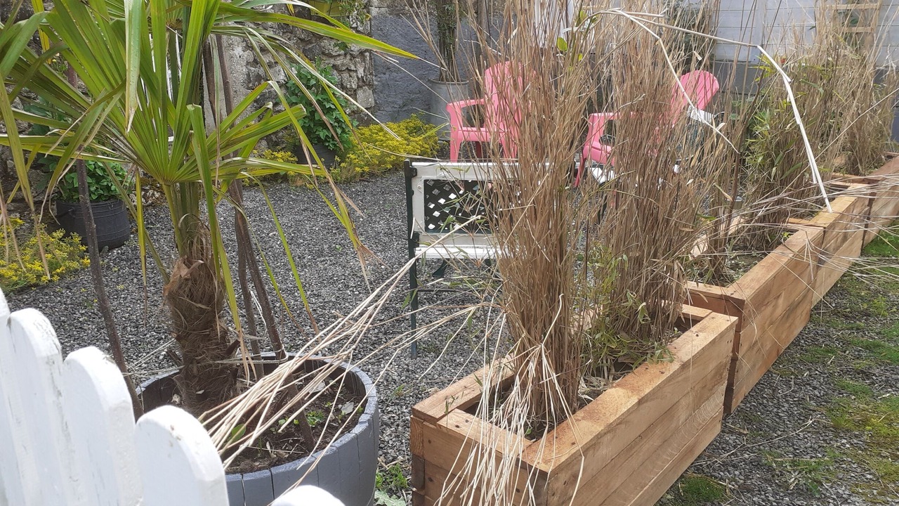Photo of Outdoor in Graces