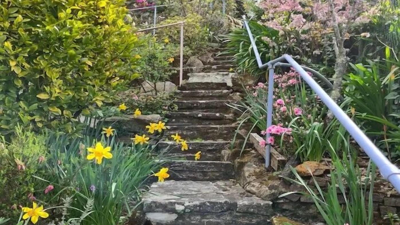 Photo of Outdoor in Katoomba