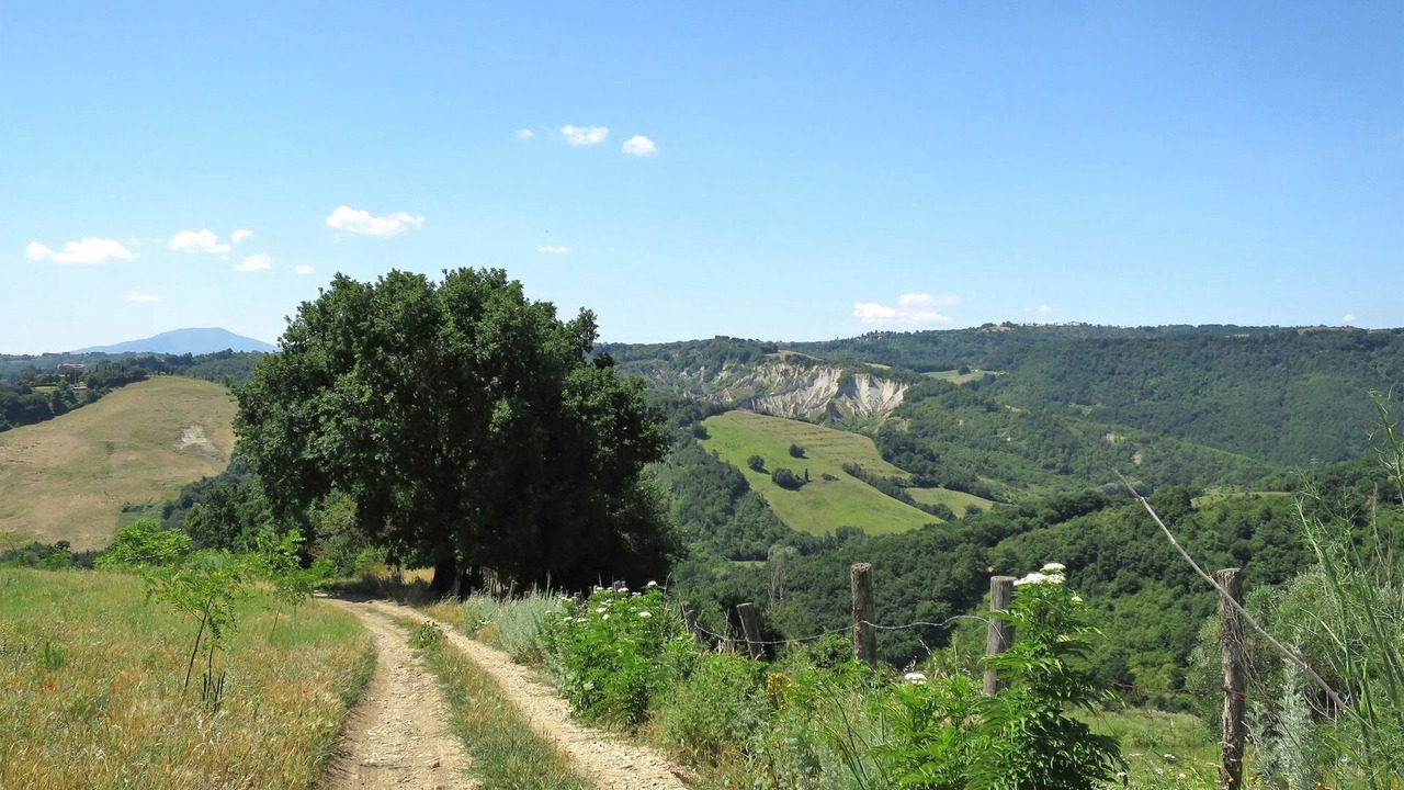 Photo of Others in Bagnoregio