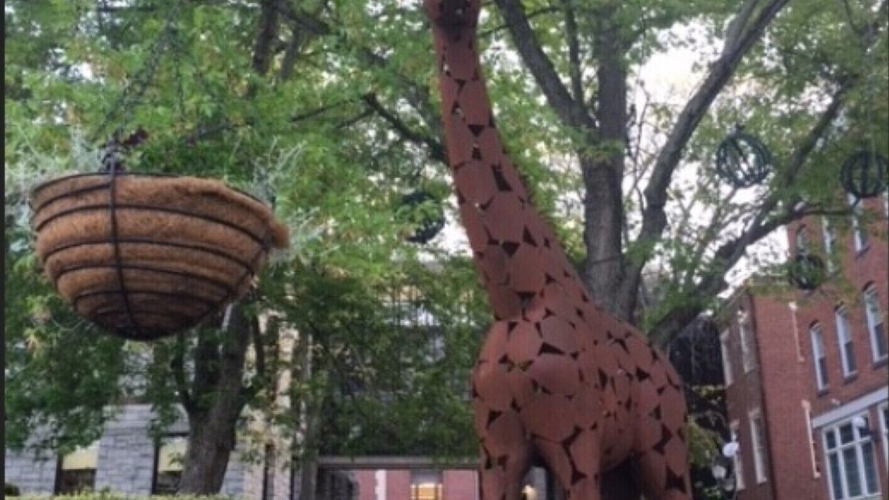 Photo of Outdoor in Northampton