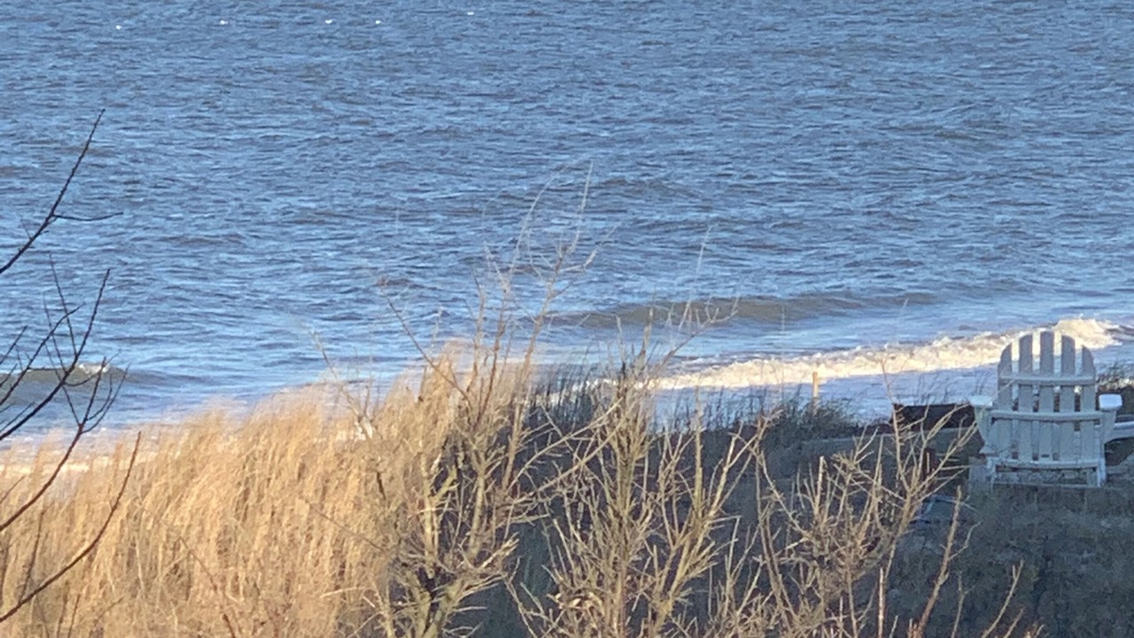 Photo of Others in Bayview