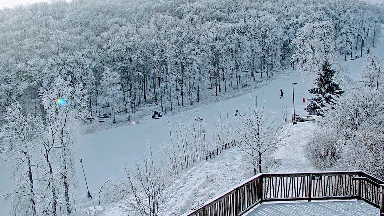Photo of Others in Chestnut Springs