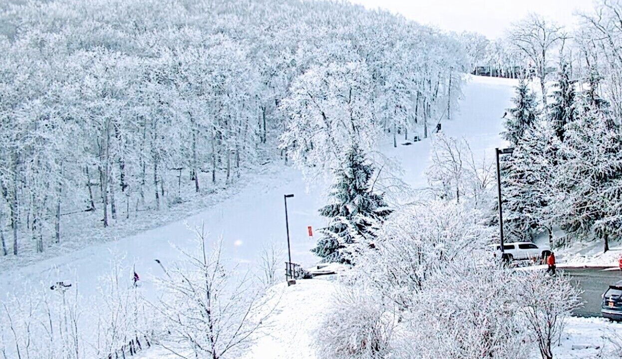 Photo of Others in Chestnut Springs