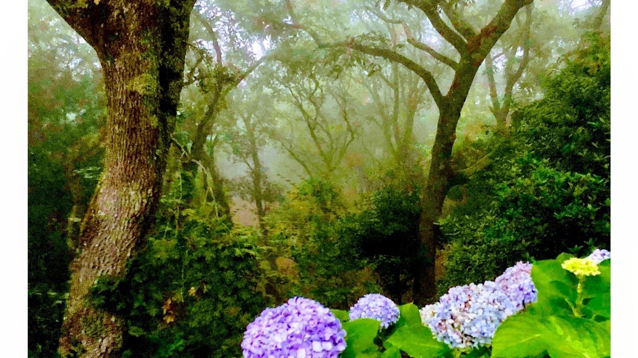 Photo of Outdoor in Monserrate