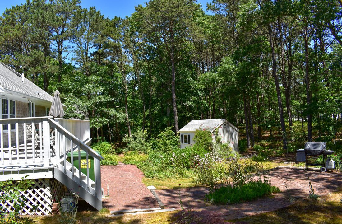Photo of Outdoor in Dennis