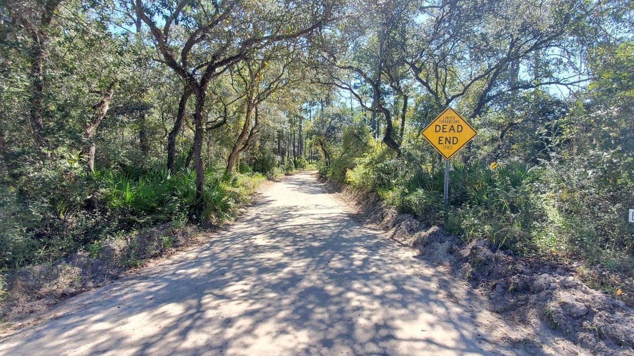 Photo of Outdoor in Panacea