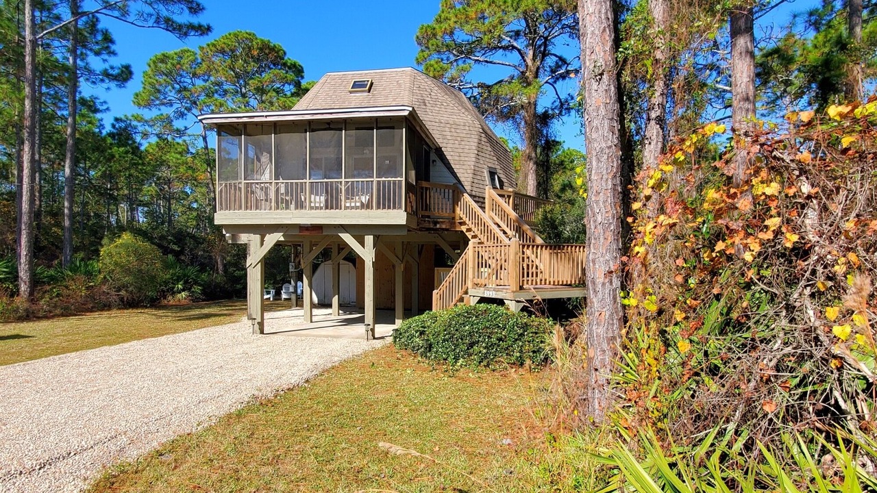 Photo of Outdoor in Panacea