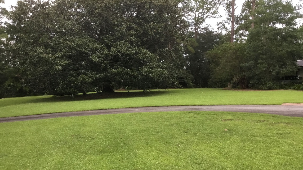 Photo of Others in Tallahassee