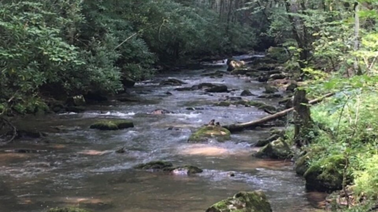 Photo of Outdoor in Bastian