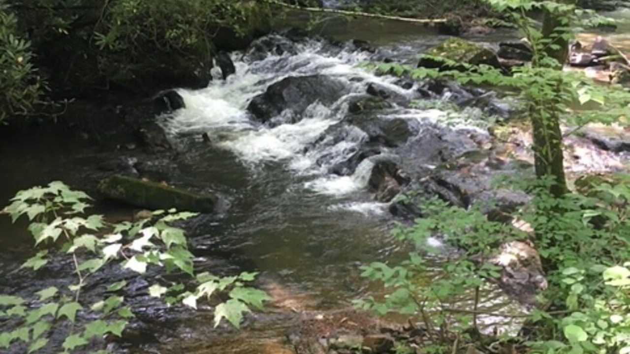 Photo of Outdoor in Bastian