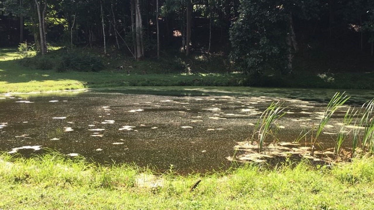 Photo of Outdoor in Bastian