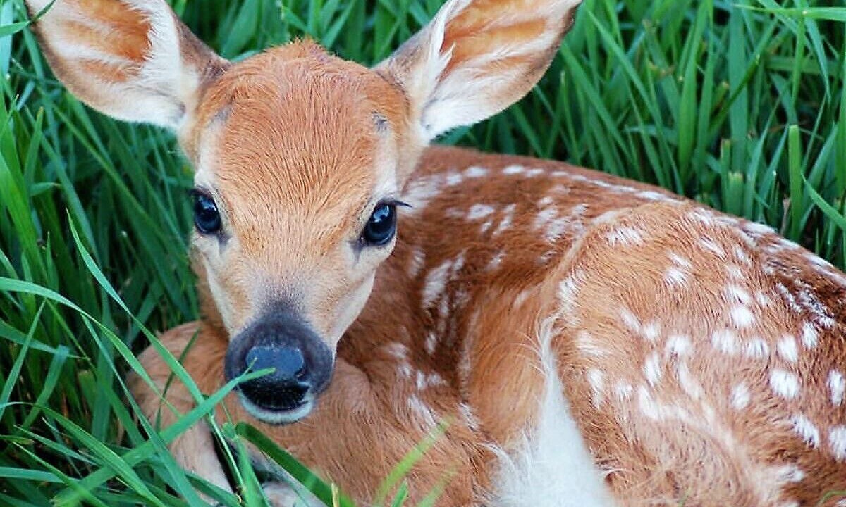 Photo of Others in Milford
