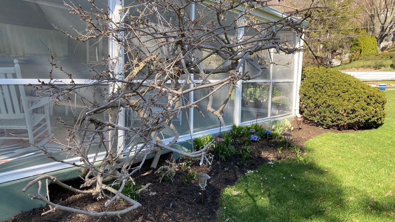Photo of Outdoor in Port Jefferson