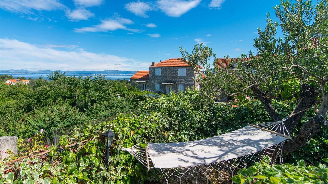 Photo of Outdoor in Mirce