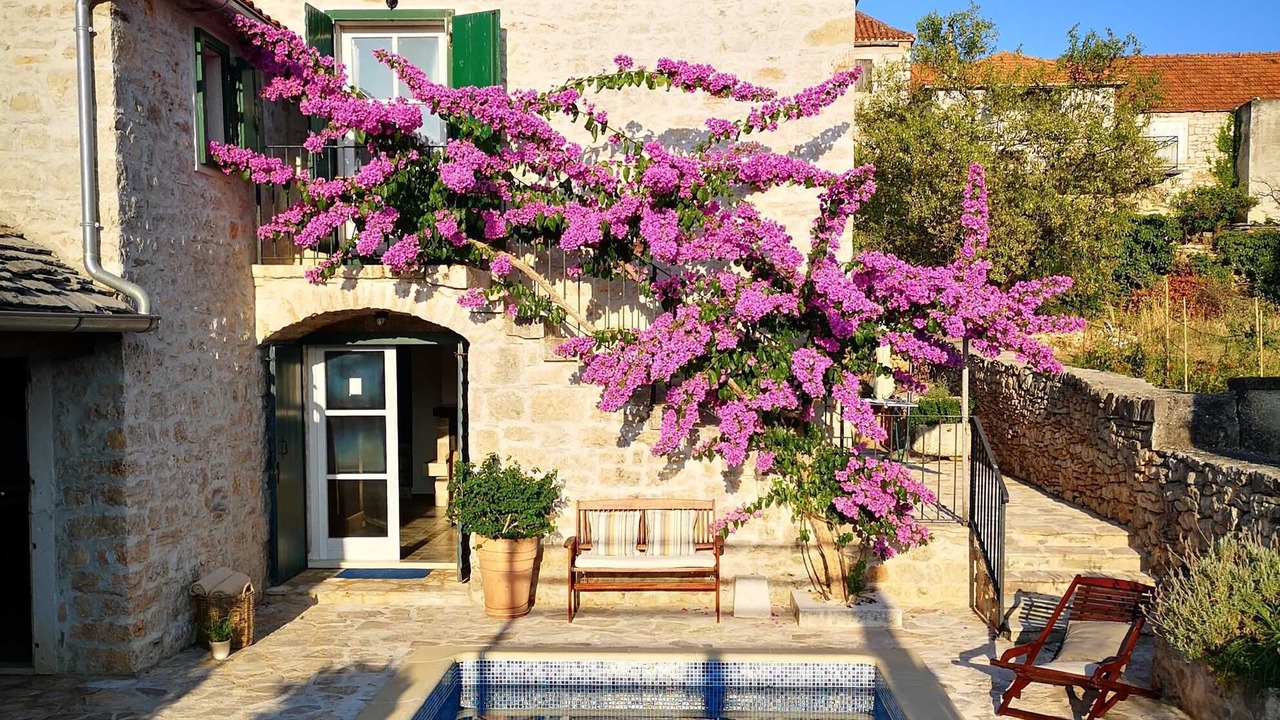 Photo of Outdoor in Mirce