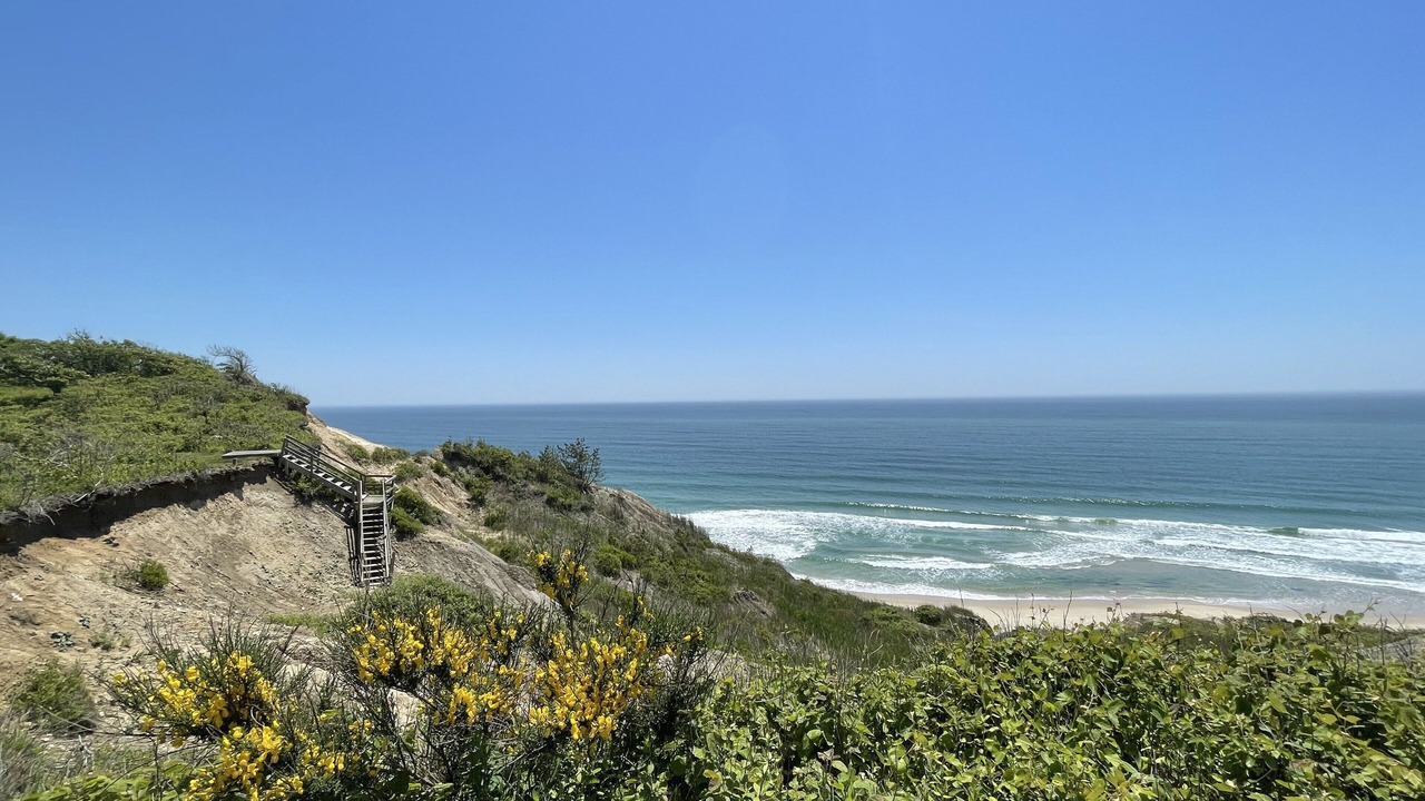 Photo of Others in Chilmark
