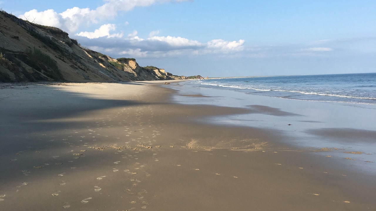 Photo of Others in Chilmark