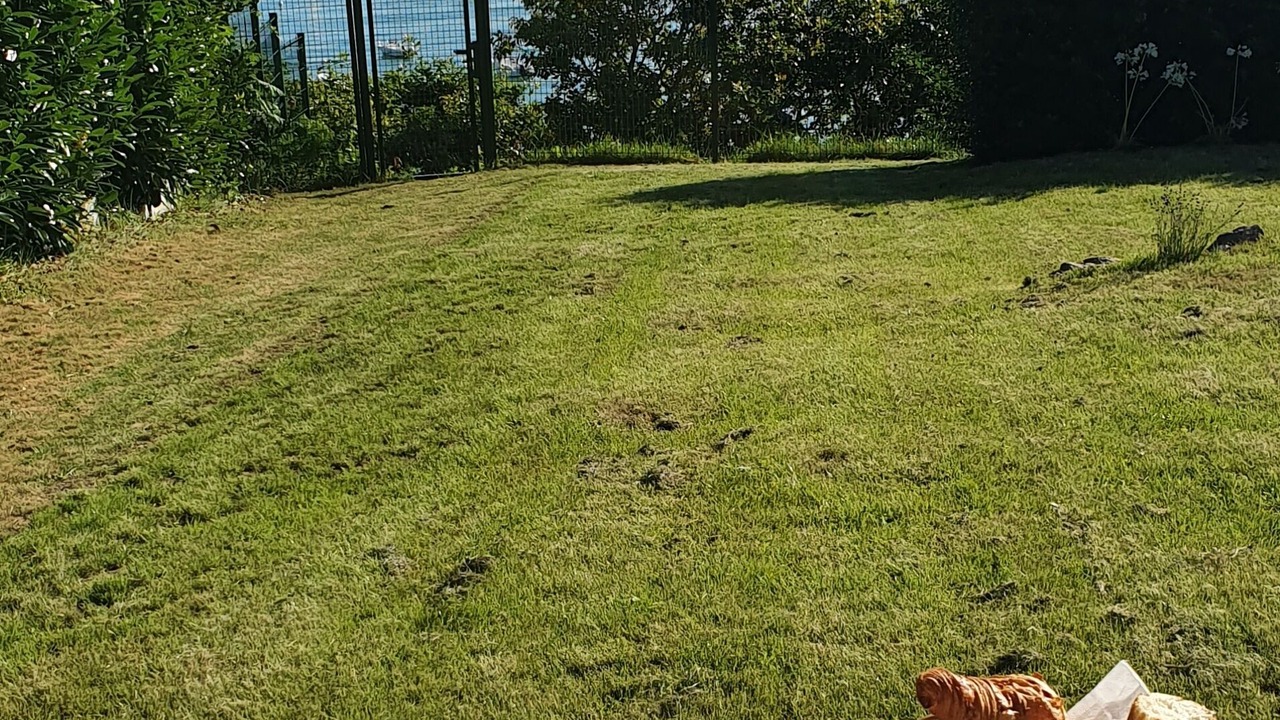 Photo of Outdoor in Saint-Jacut-de-la-Mer