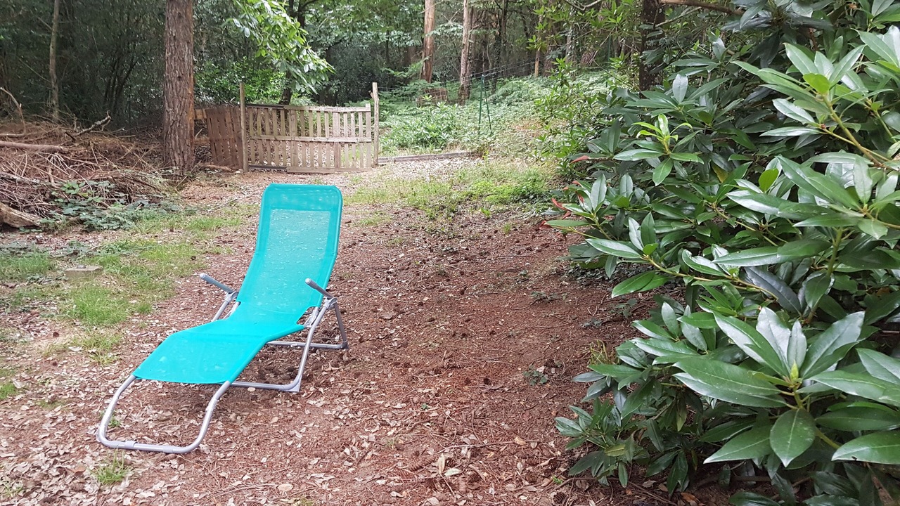 Photo of Outdoor in Treal