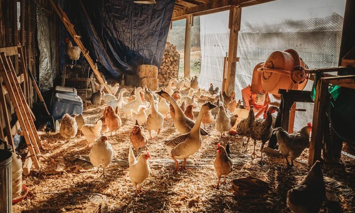 Photo of Others in Haywood