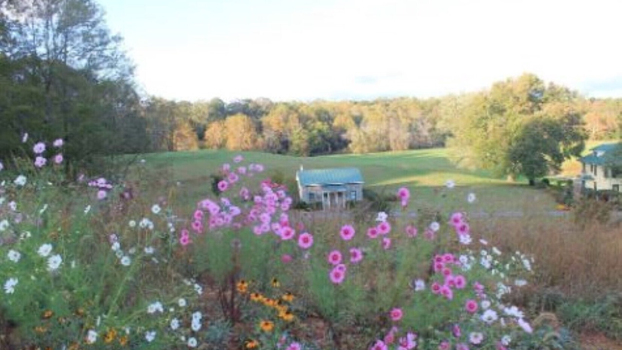 Photo of Outdoor in Haywood
