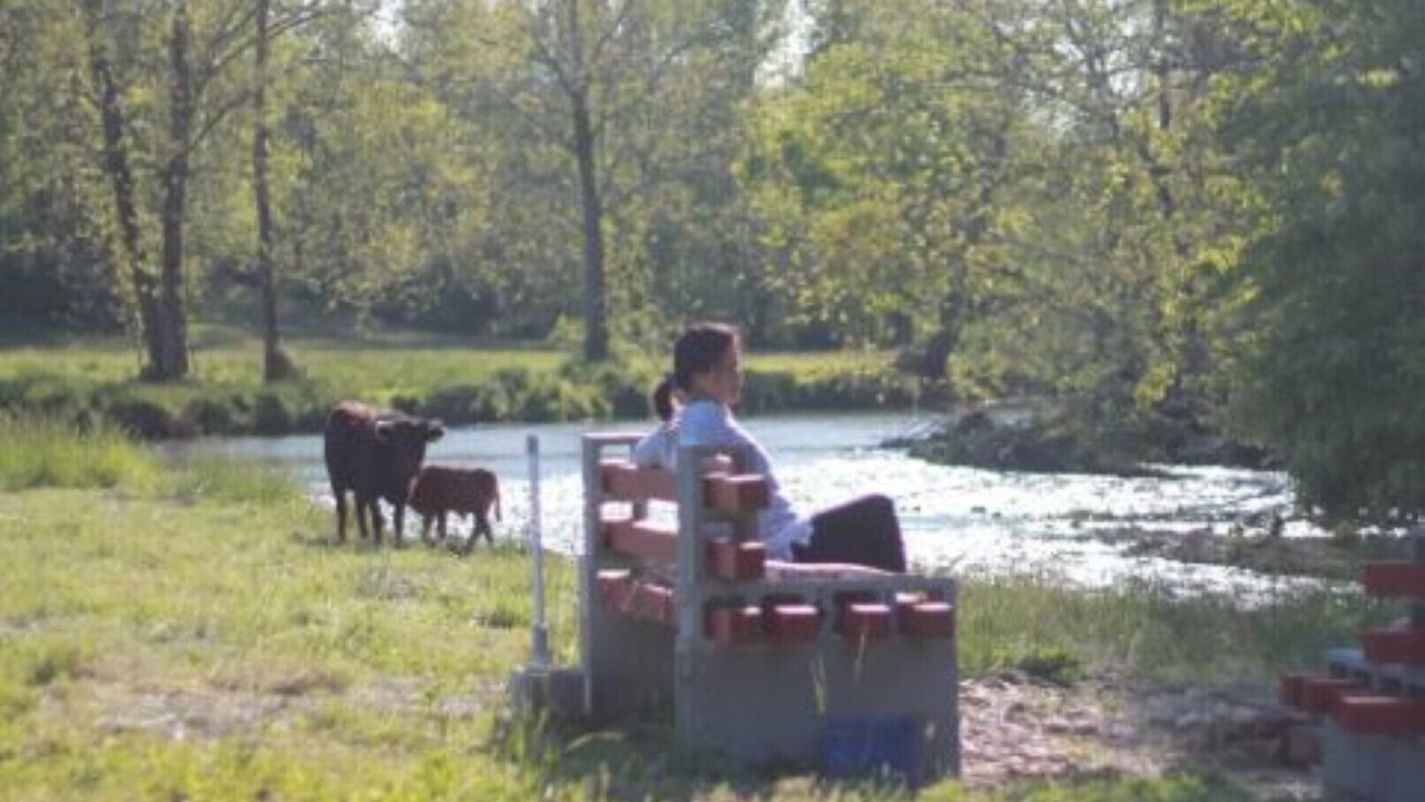 Photo of Outdoor in Haywood