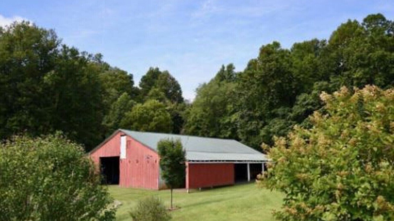Photo of Outdoor in Haywood