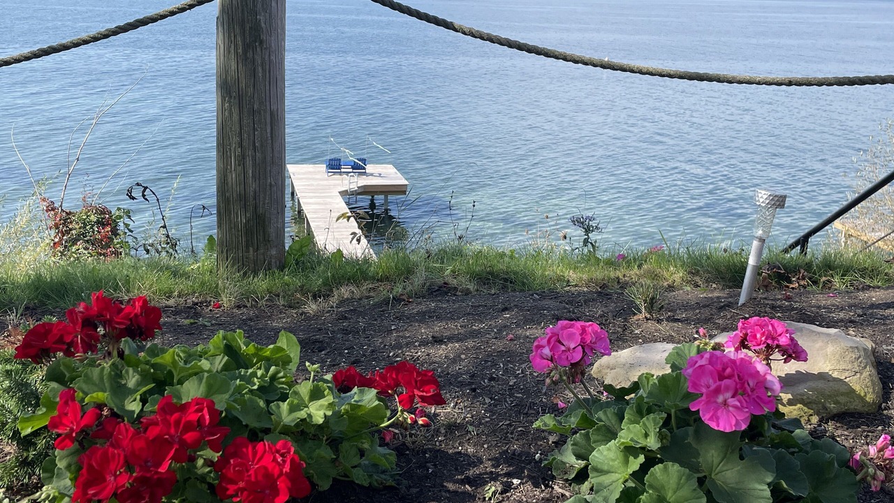 Photo of Outdoor in Geneva