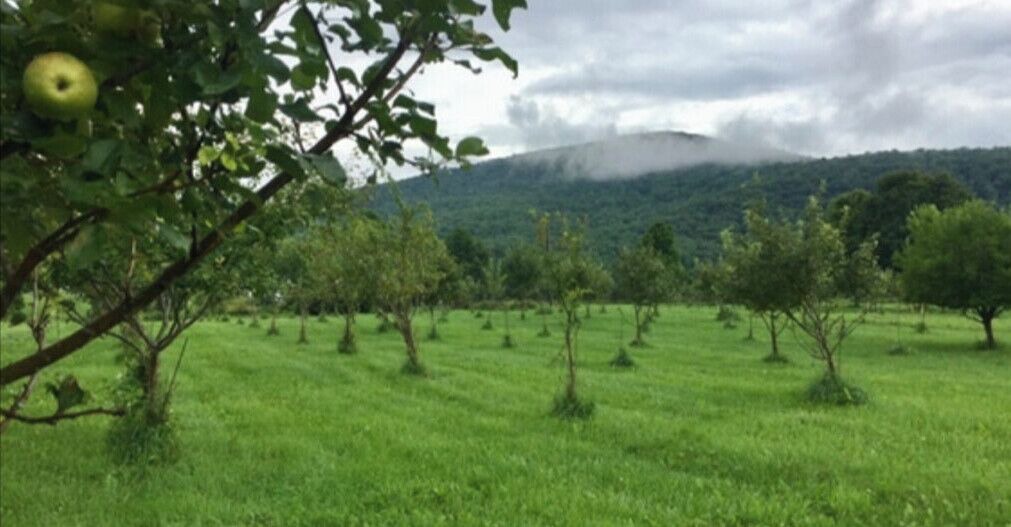Photo of Outdoor in Bloomville