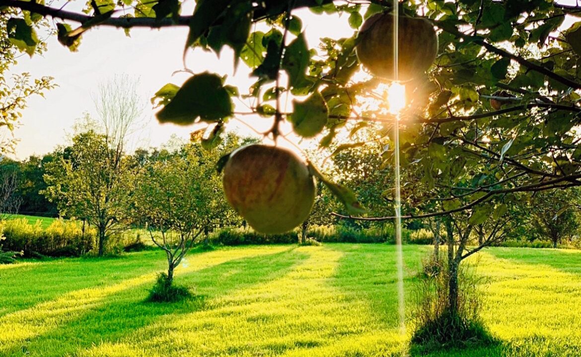 Photo of Outdoor in Bloomville