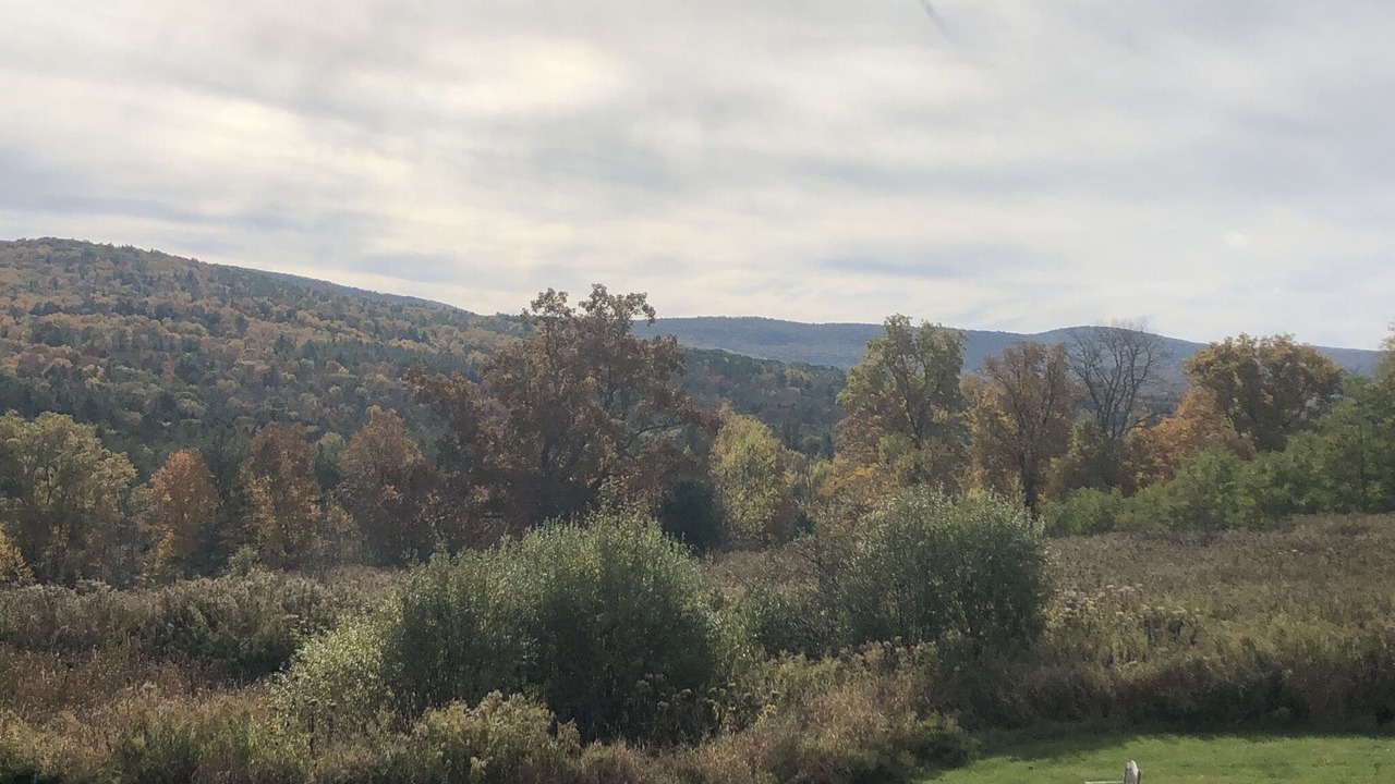 Photo of Outdoor in Brainard