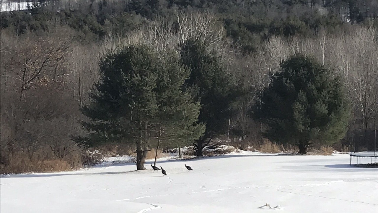 Photo of Others in Brainard