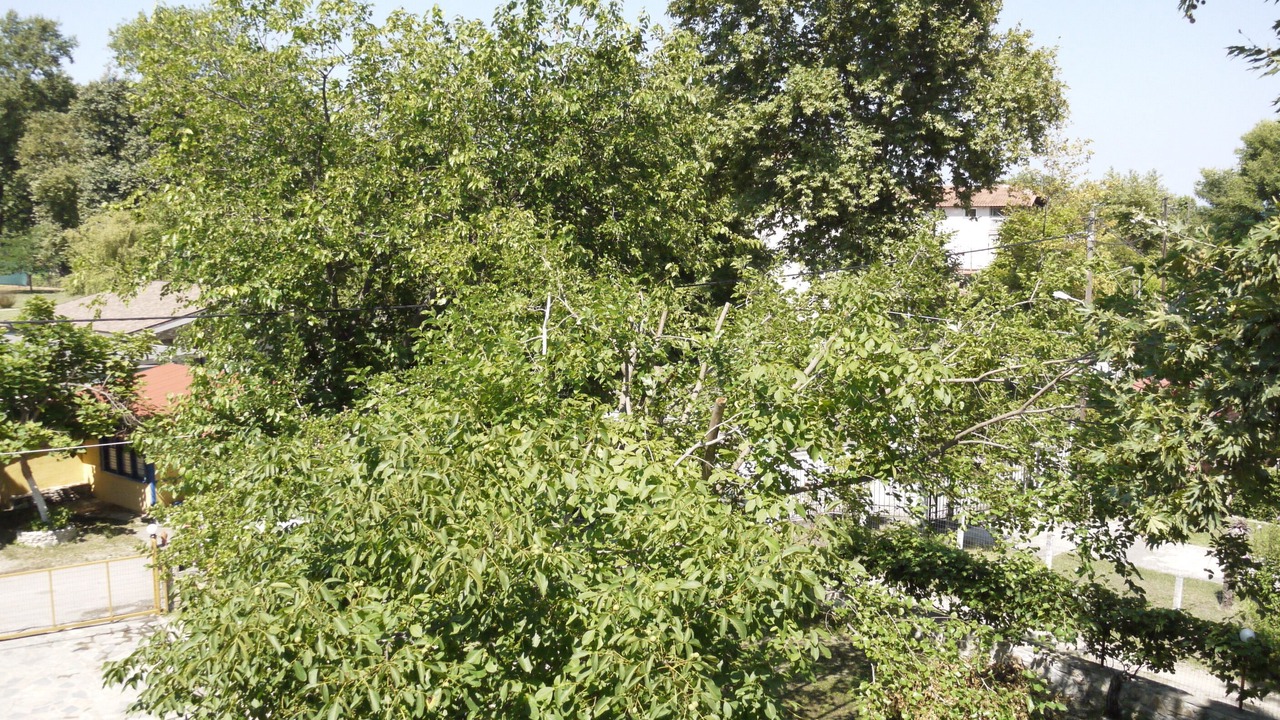 Photo of Outdoor in Paralia Pantaleimonos