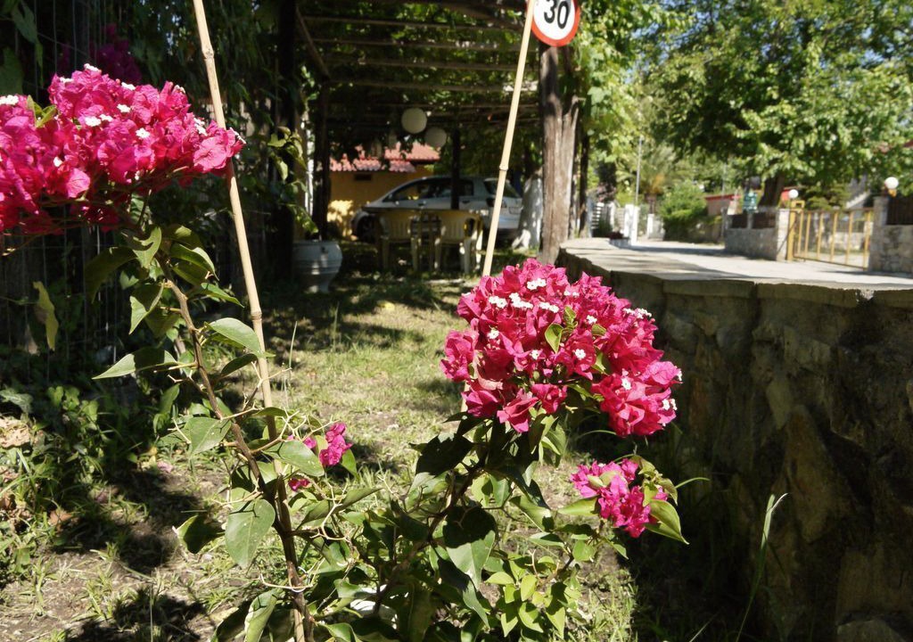 Photo of Outdoor in Paralia Pantaleimonos