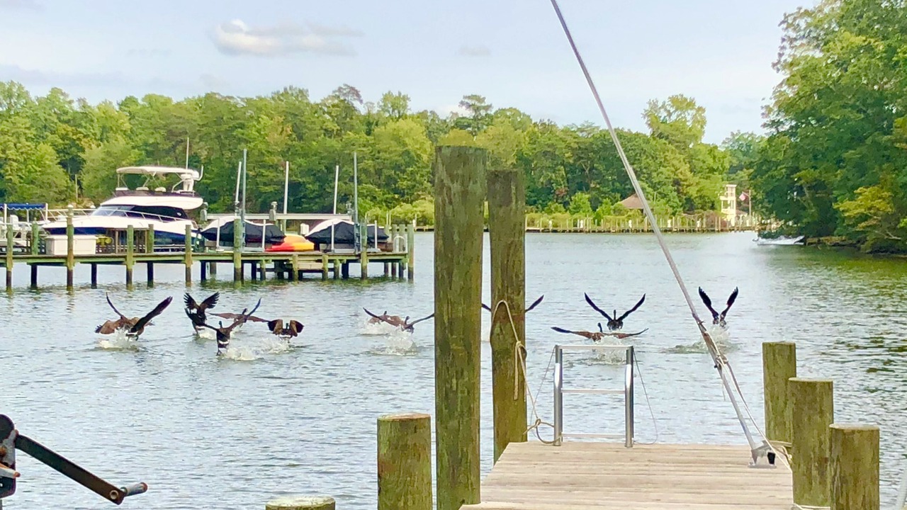Photo of Outdoor in Weems