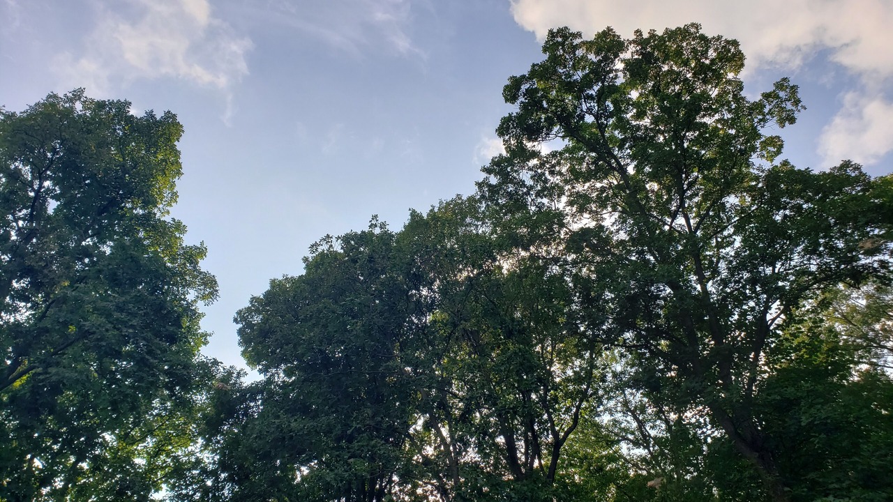 Photo of Outdoor in Hackettstown