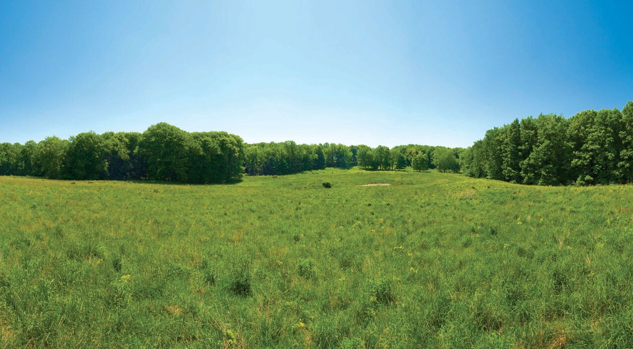 Photo of Outdoor in La Porte