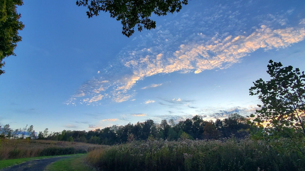 Photo of Outdoor in La Porte