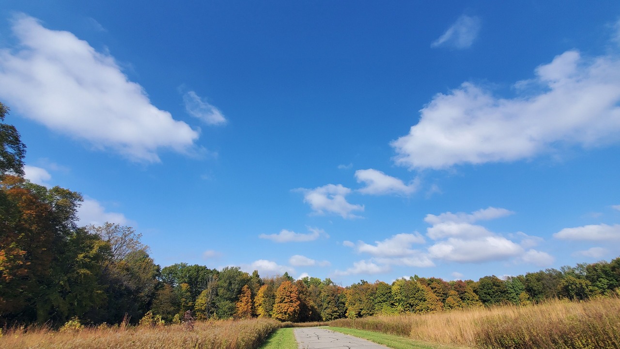Photo of Outdoor in La Porte