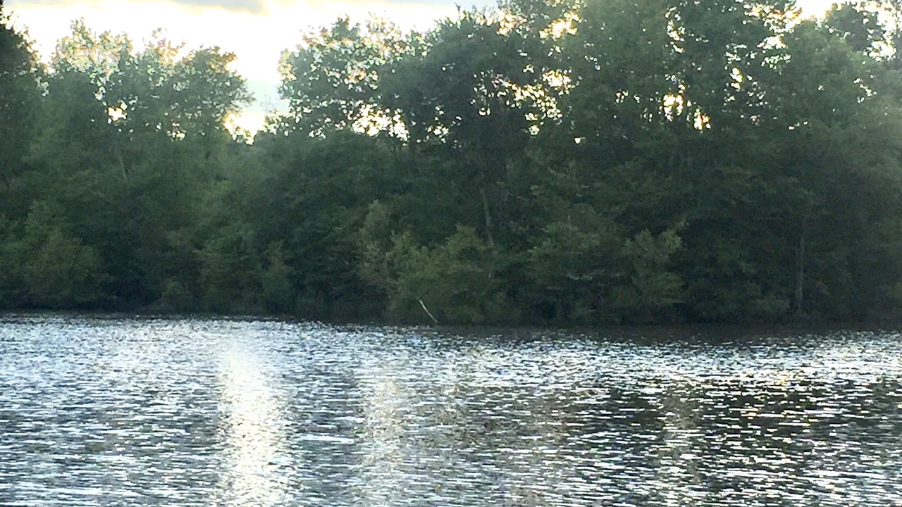Photo of Outdoor in Lanexa