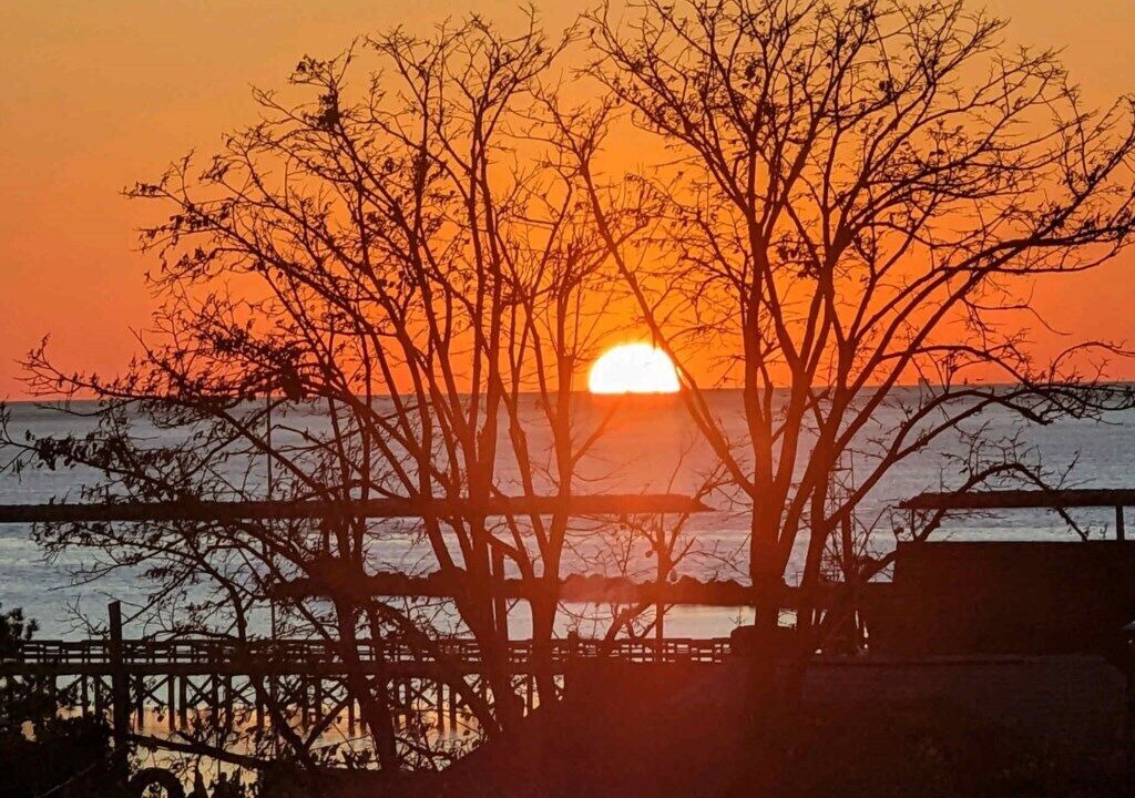Photo of Others in Cape Charles