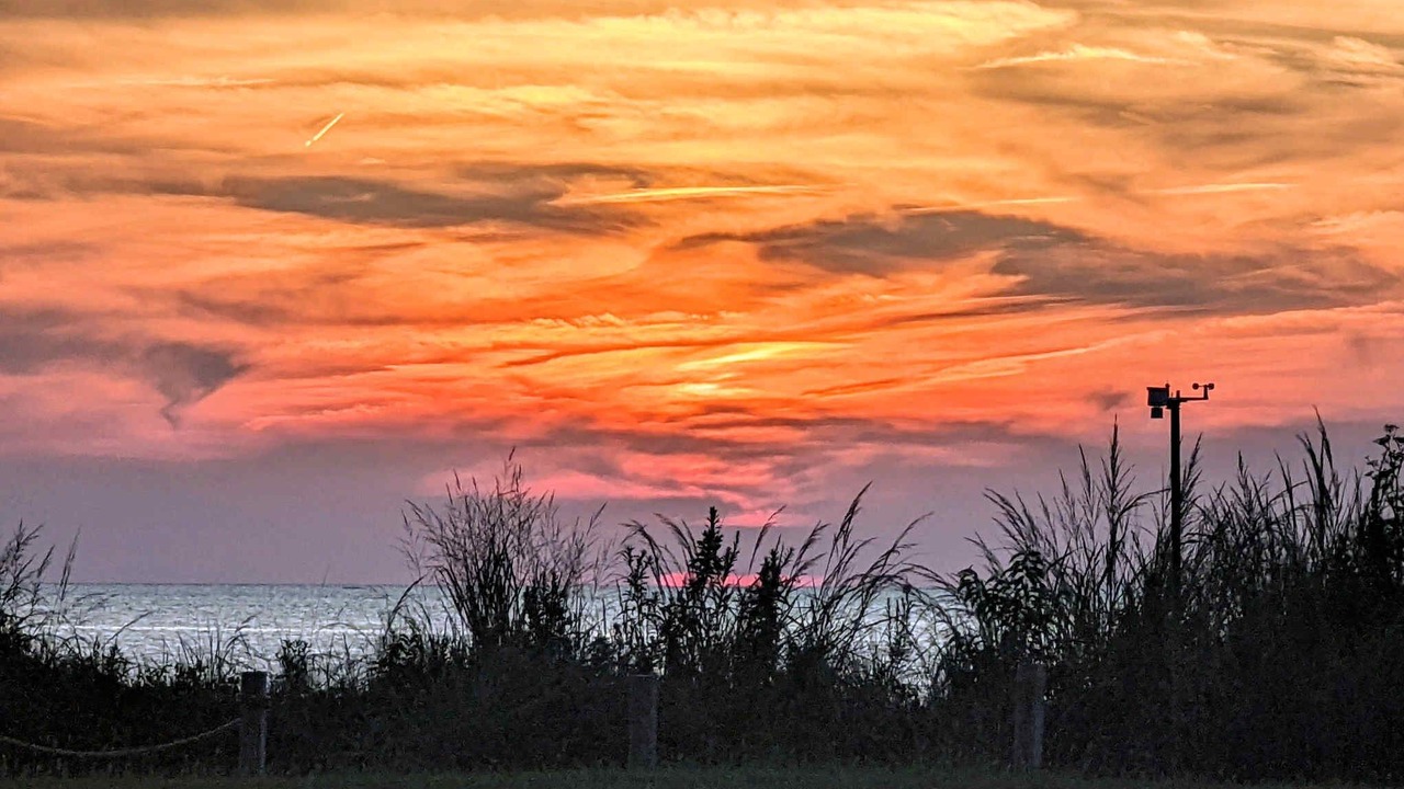 Photo of Others in Cape Charles