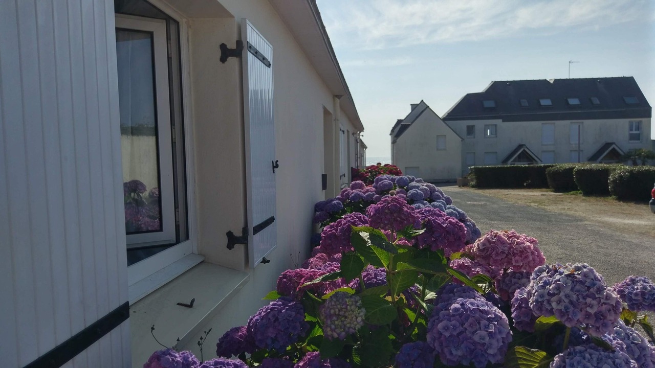 Photo of Outdoor in Kerherou