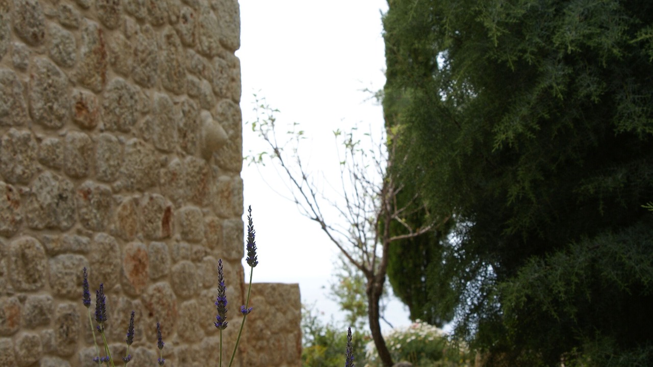 Photo of Outdoor in Stoupa